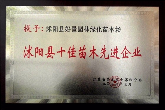 沭阳县十佳苗木先进企业00.jpg 沭阳县十佳苗木先进企业00.jpg