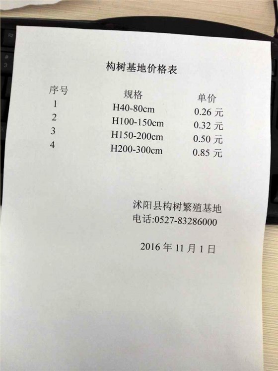 构树价格单 构树价格单