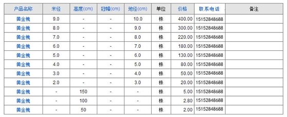 黄金槐
