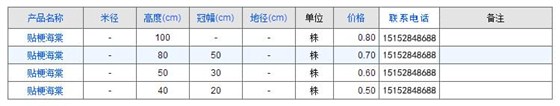 贴梗海棠