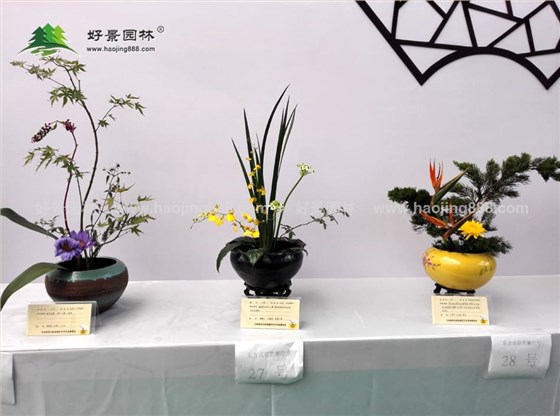 园艺中心展馆-参展图14