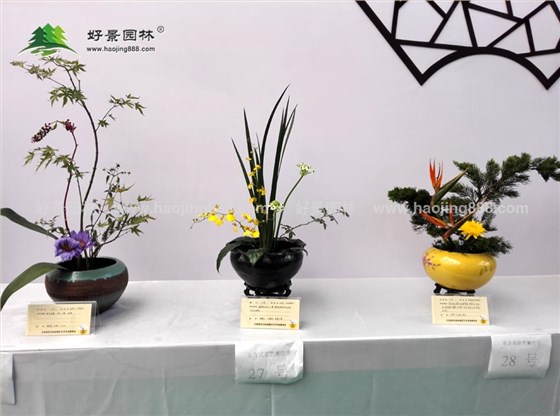 园艺中心展馆-参展图14