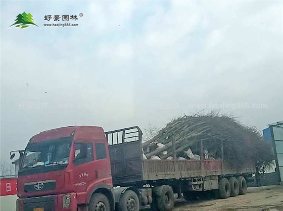 装车 装车