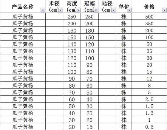 瓜子黄杨