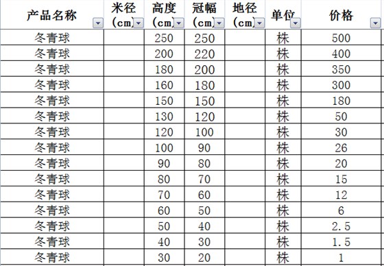 冬青球价格