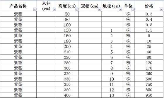 紫薇