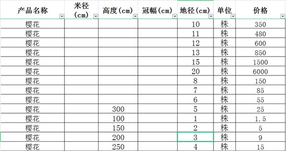 樱花