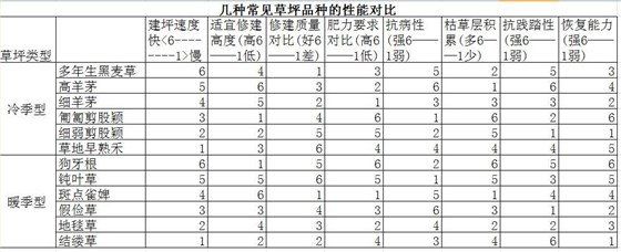 草坪 (2)