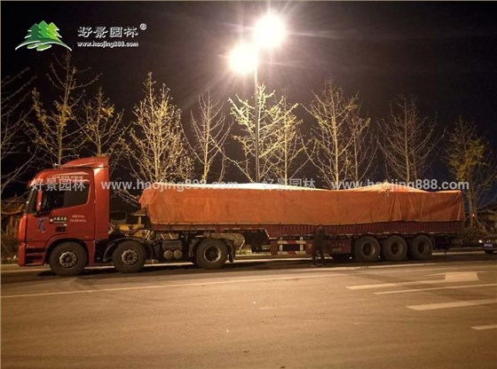 草坪装车 (2)