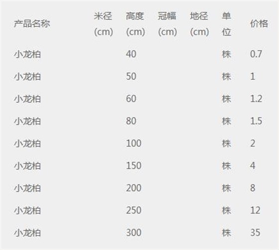 小龙柏价格表