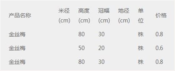 金丝梅价格表