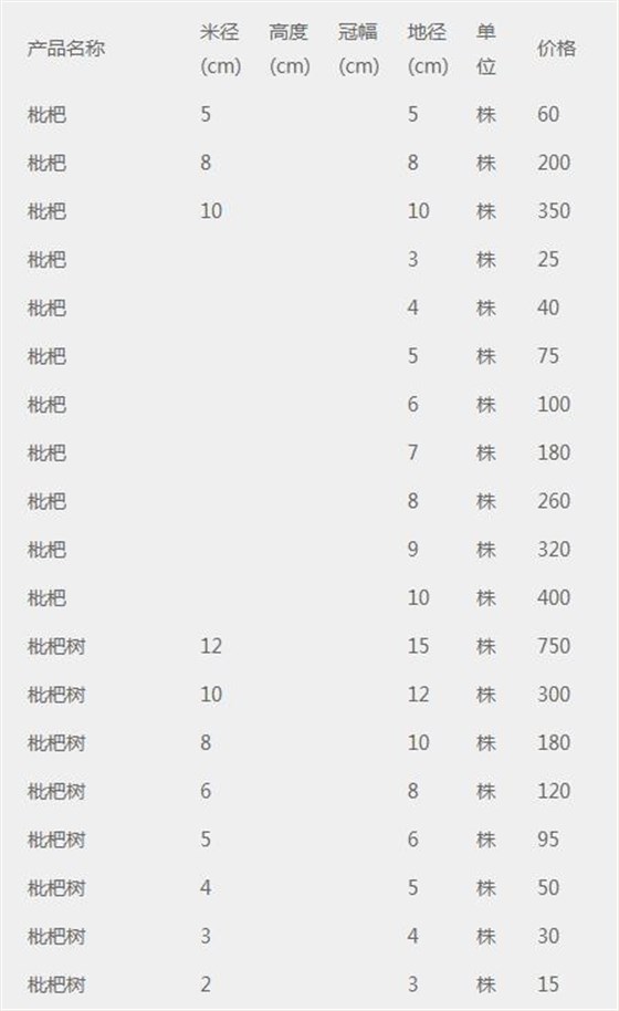 枇杷树价格表