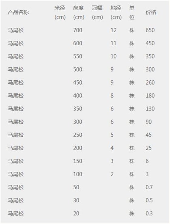 马尾松树苗价格表