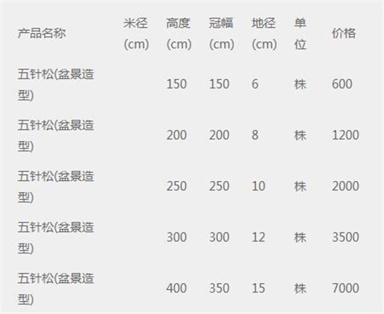 五针松造型盆景价格表