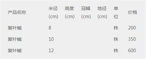 复叶槭价格表