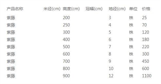 紫藤价格表