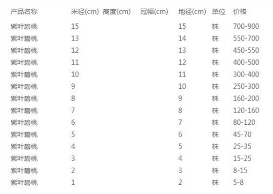 紫叶碧桃价格表