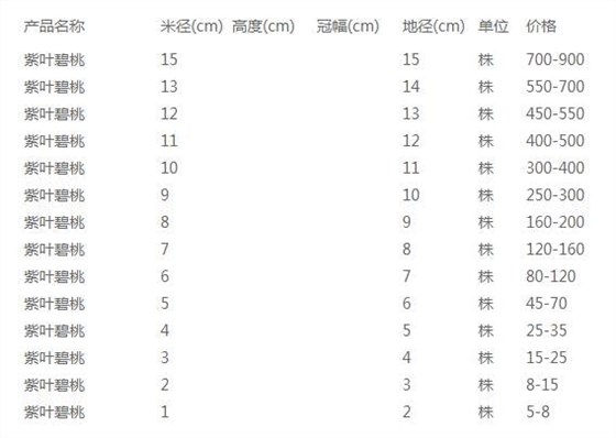 紫叶碧桃价格表