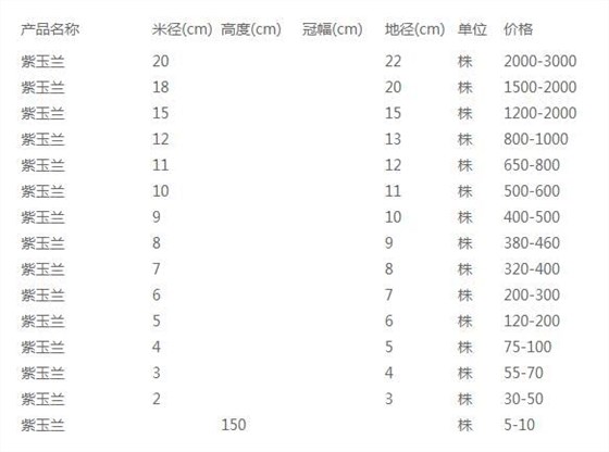 紫玉兰价格表