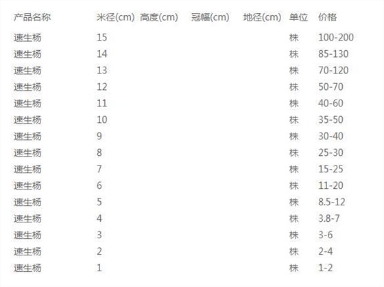 速生杨价格表