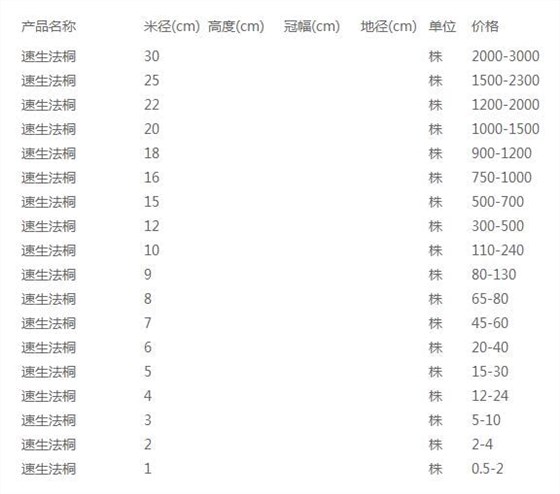 速生法桐价格表