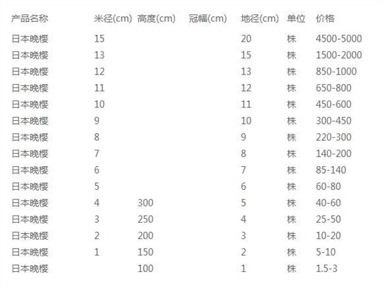 日本晚樱价格表