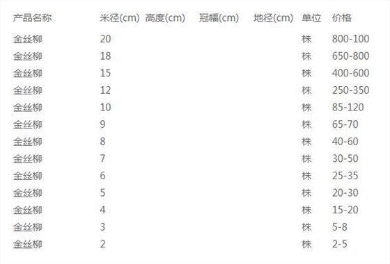 金丝柳价格表