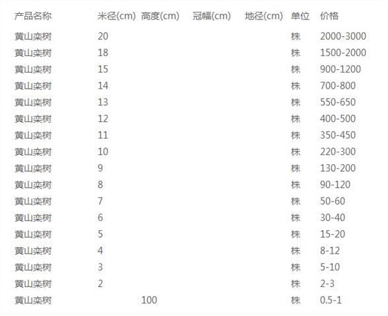 黄山栾树价格表