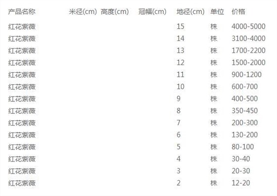 红花紫薇价格表