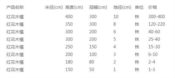 红花木槿价格表