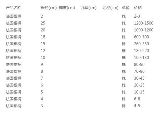 法国梧桐价格表