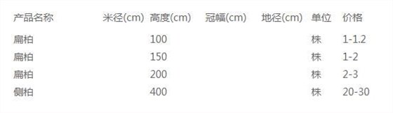扁柏价格表