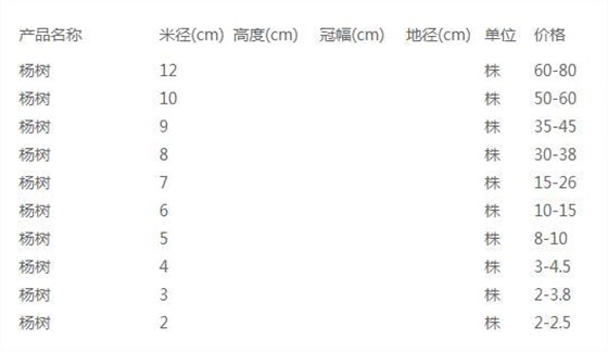 杨树价格表
