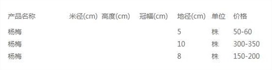 杨梅价格表