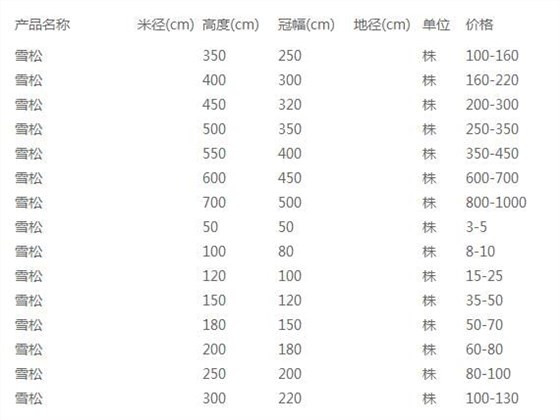 雪松价格表