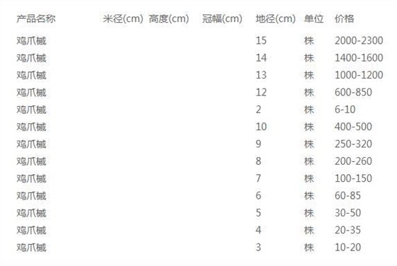 鸡爪槭价格表