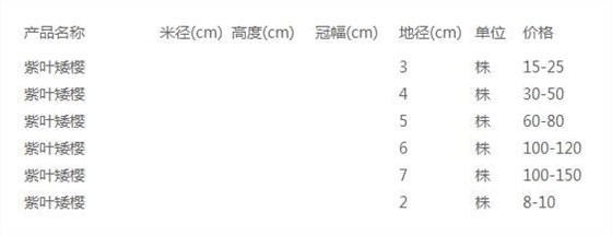 紫叶矮樱价格表