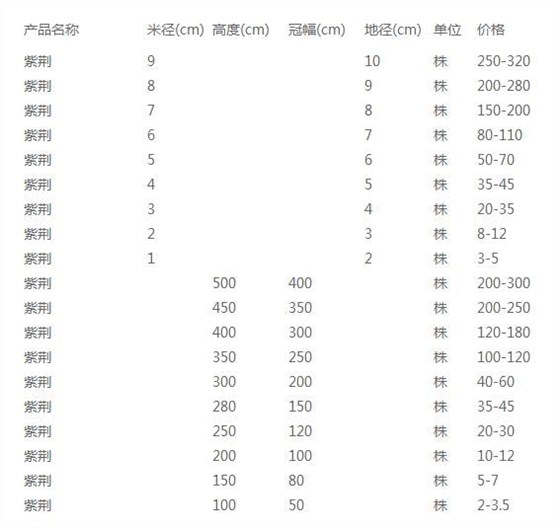 紫荆价格表