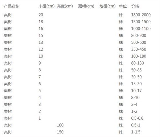 栾树价格表