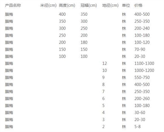 腊梅价格表
