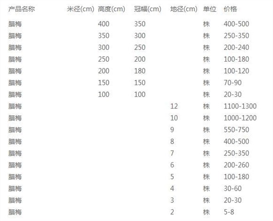 腊梅价格表