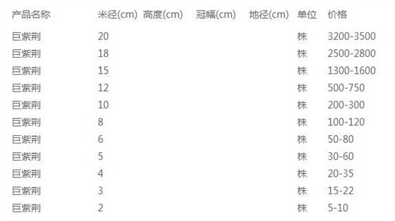 巨紫荆价格表