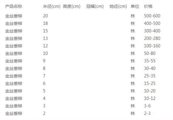 金丝垂柳价格表