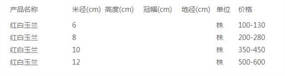 红玉兰价格表