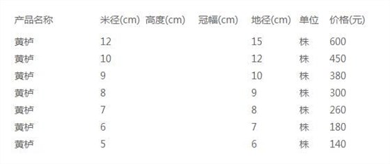 黄栌价格表