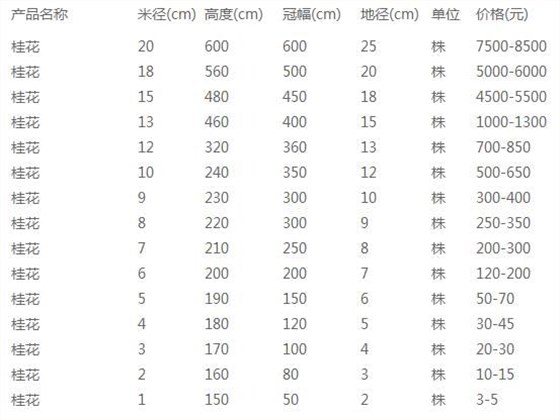 桂花价格表