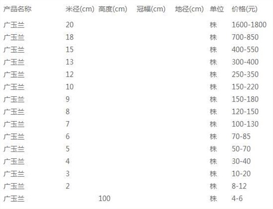 广玉兰价格表