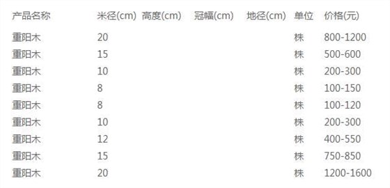重阳木价格