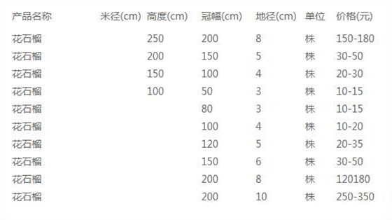 花石榴价格表