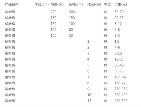 榆叶梅价格表